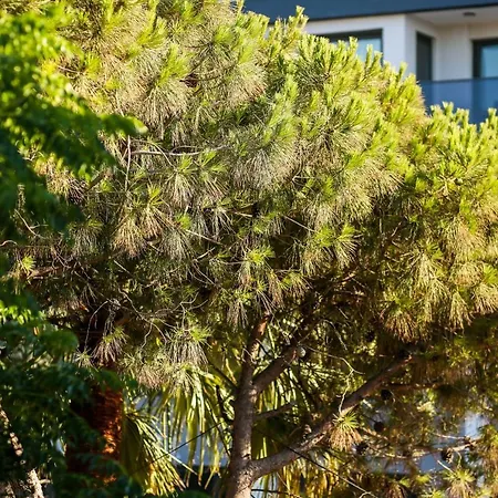 Apartmán Krem Marin Çeşme